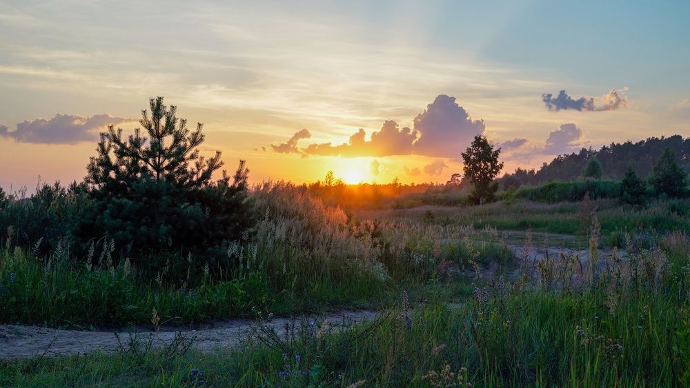 Photograph by Роман Трошин