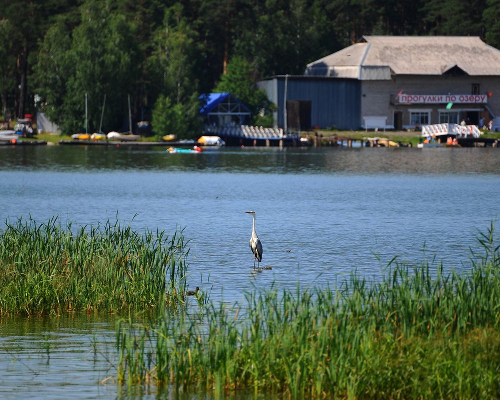 Photograph by Вадим Басов