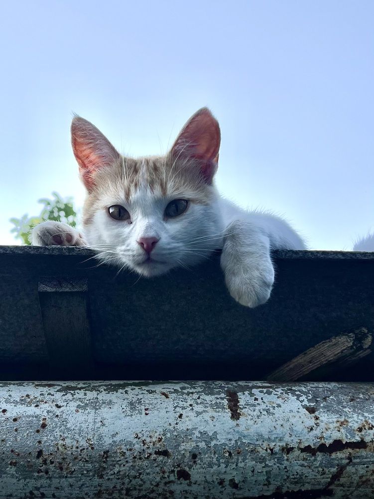 Photograph by Людмила Коныгина