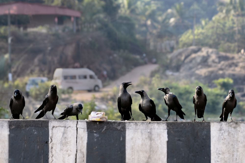 Photograph by LYUDMYLA POKRYSHEN