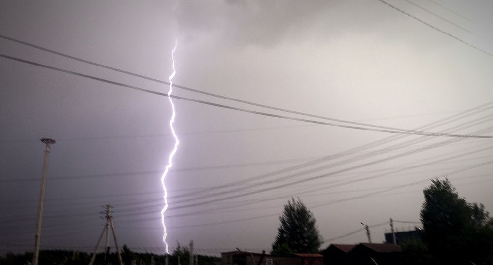 Photograph by Ольга Заповедная