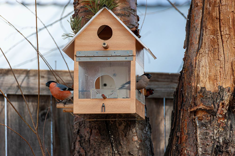 Photograph by Вадим Басов