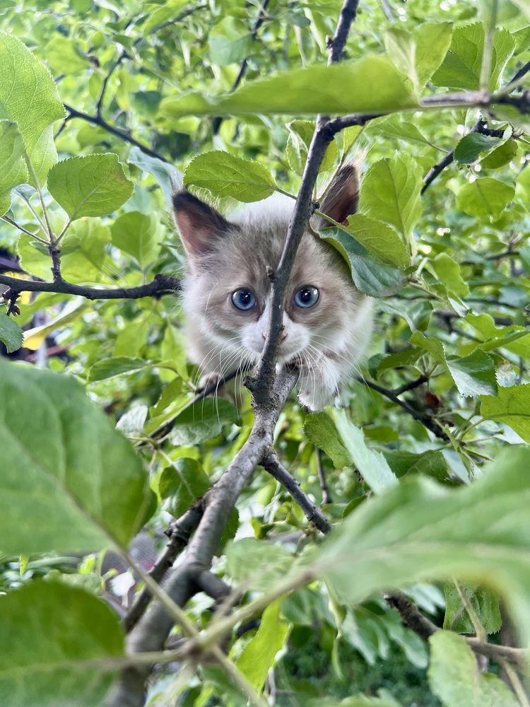 Photograph by Людмила Коныгина