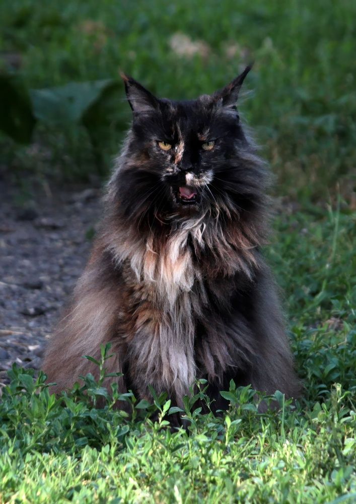 Photograph by Глеб Кузьминых