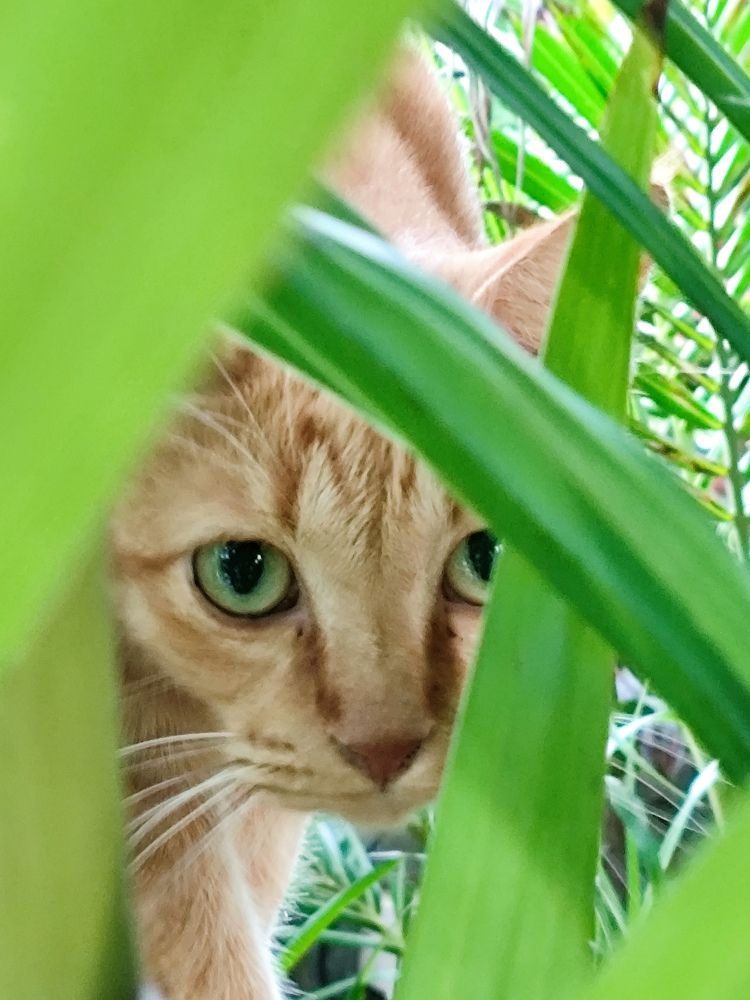 Photograph by Наталья