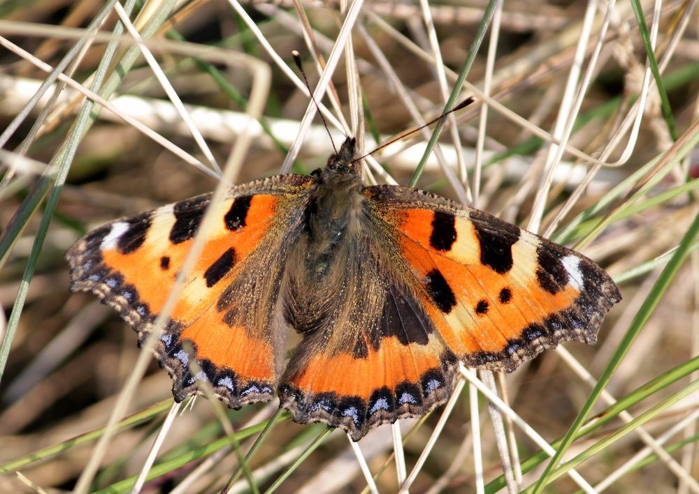 Photograph by Глеб Кузьминых