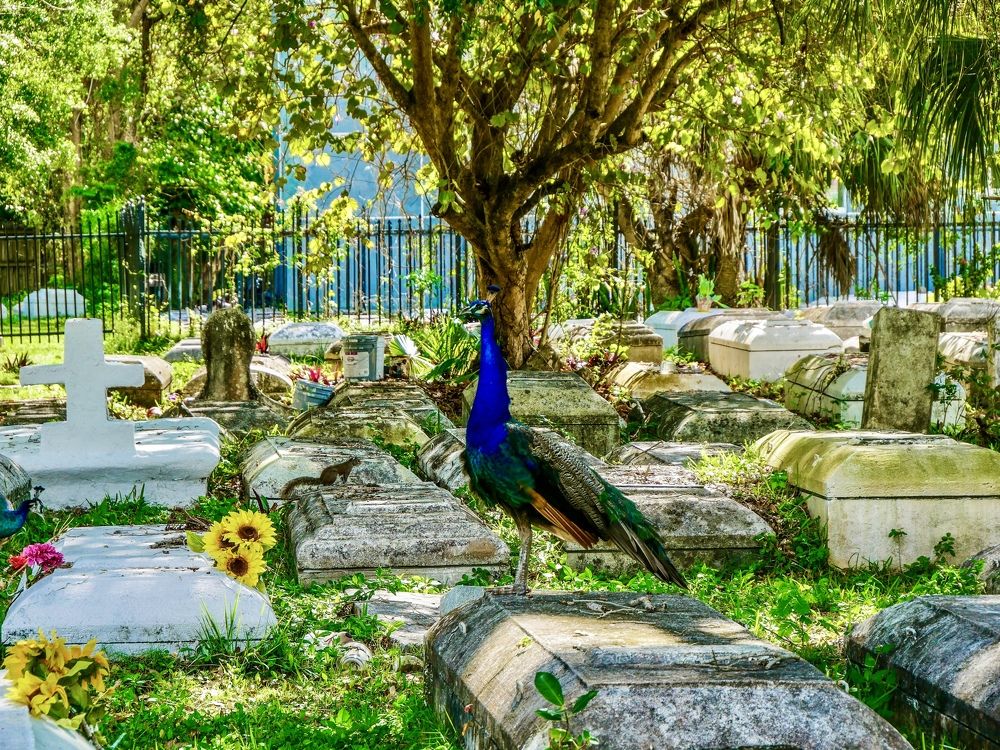 Photograph by Annie Trudel