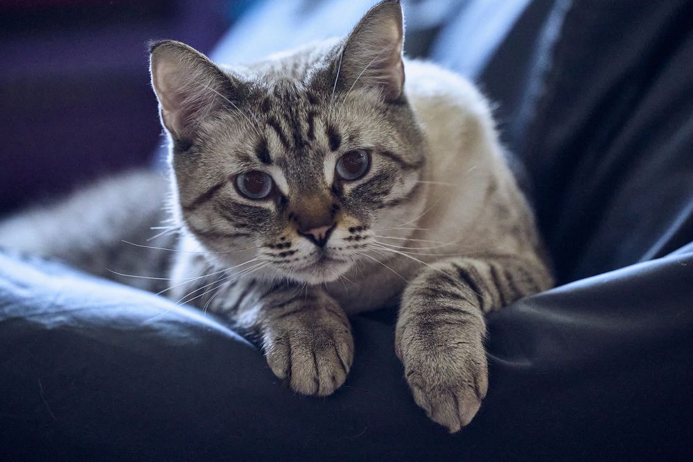 Photograph by Ахмылова Виктория