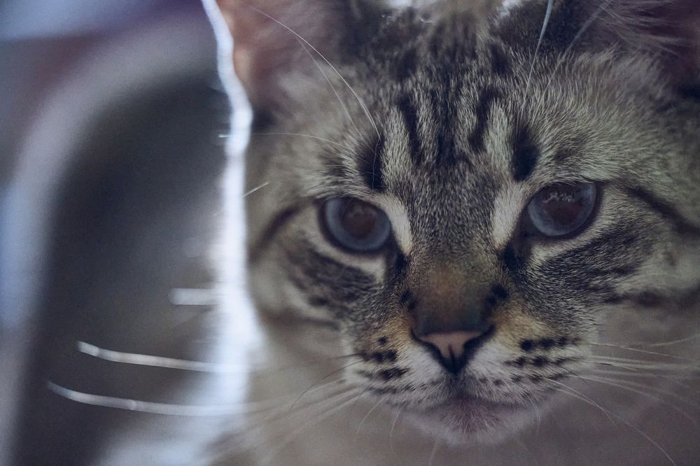 Photograph by Ахмылова Виктория