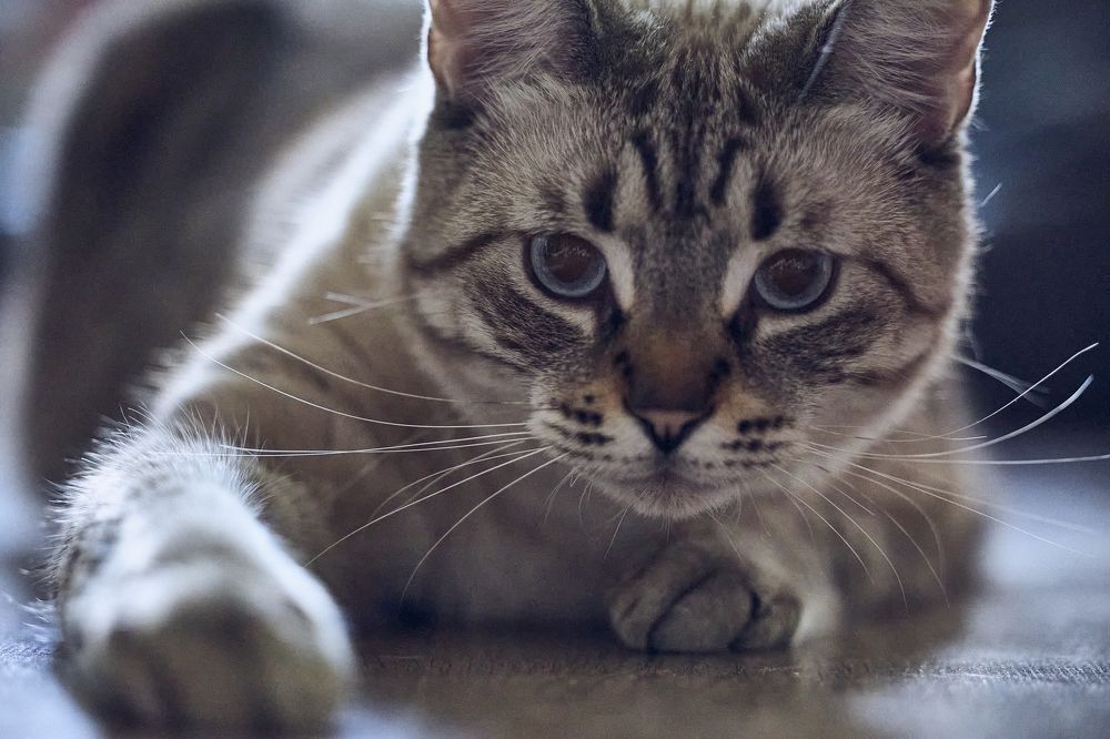 Photograph by Ахмылова Виктория