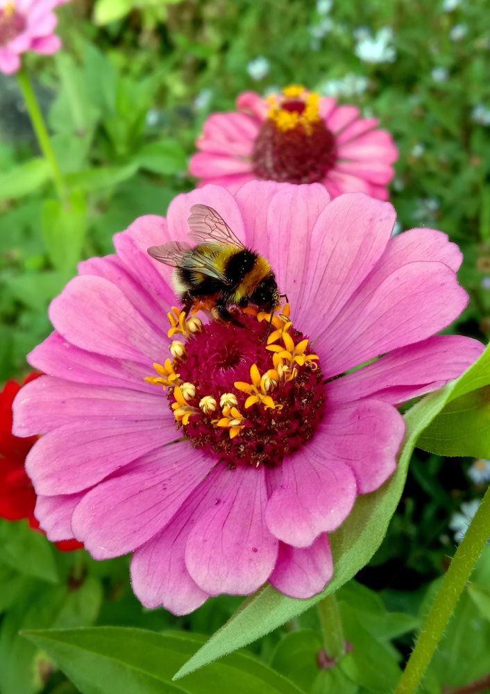 Photograph by Глеб Кузьминых