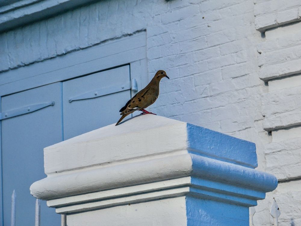 Photograph by Annie Trudel