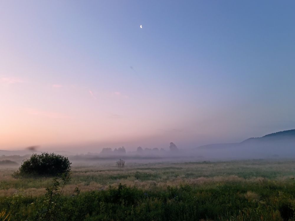 Фотография автора Александр Осинцев