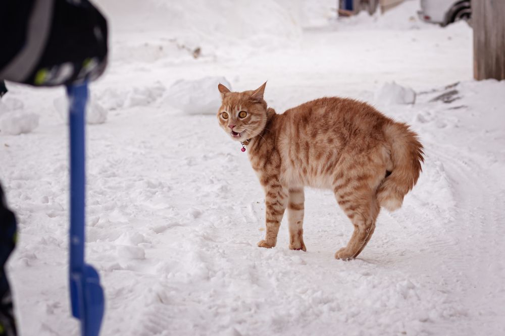 Photograph by Наталья Островцева