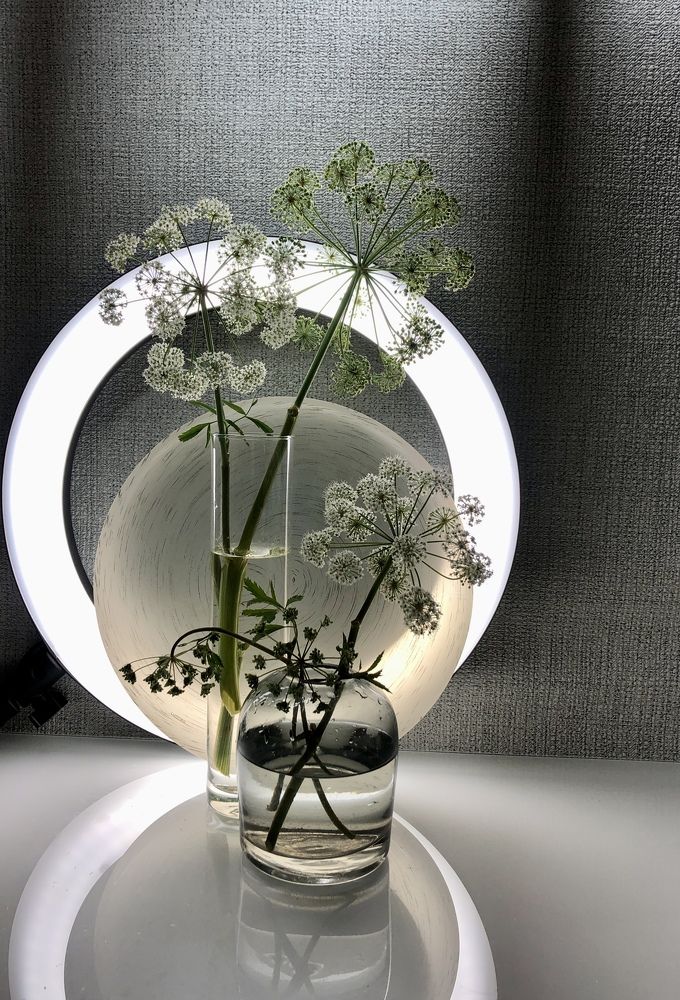 Photograph by Галина Пименова