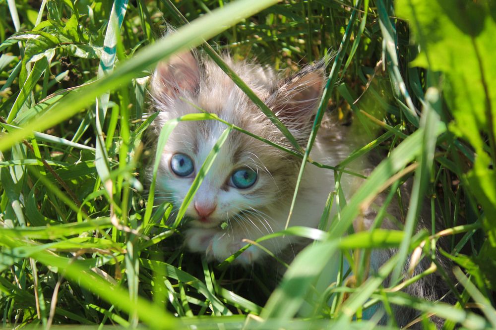 Photograph by Евгения Трубкина