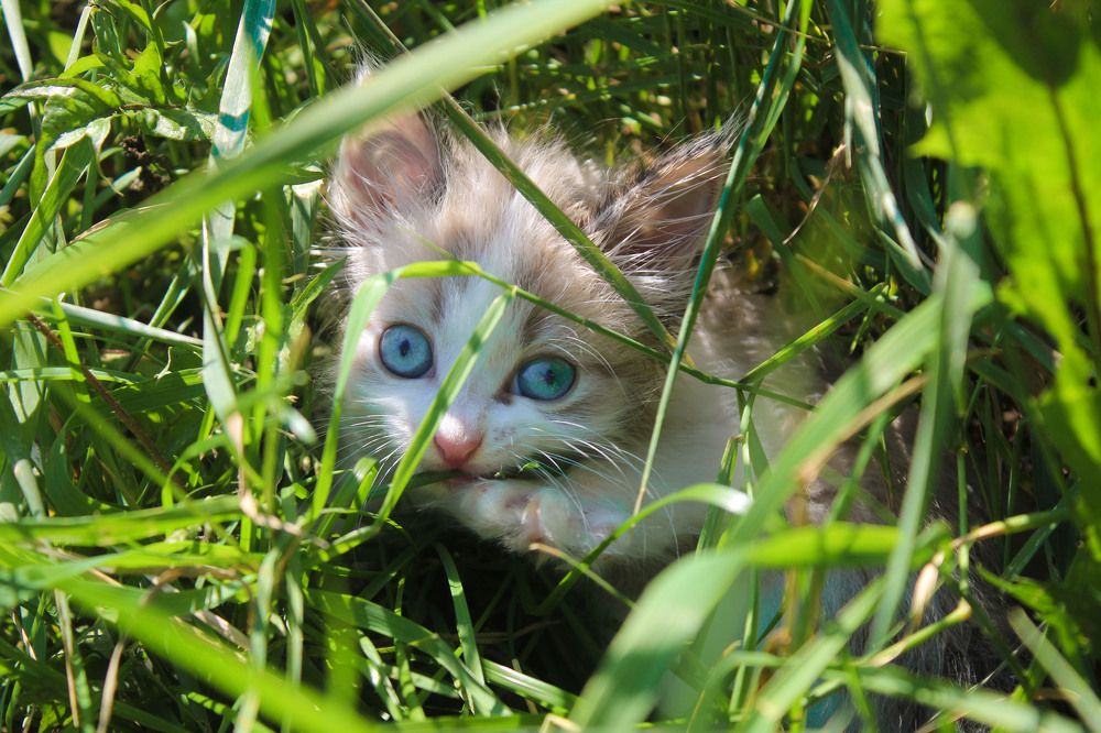 Photograph by Евгения Трубкина