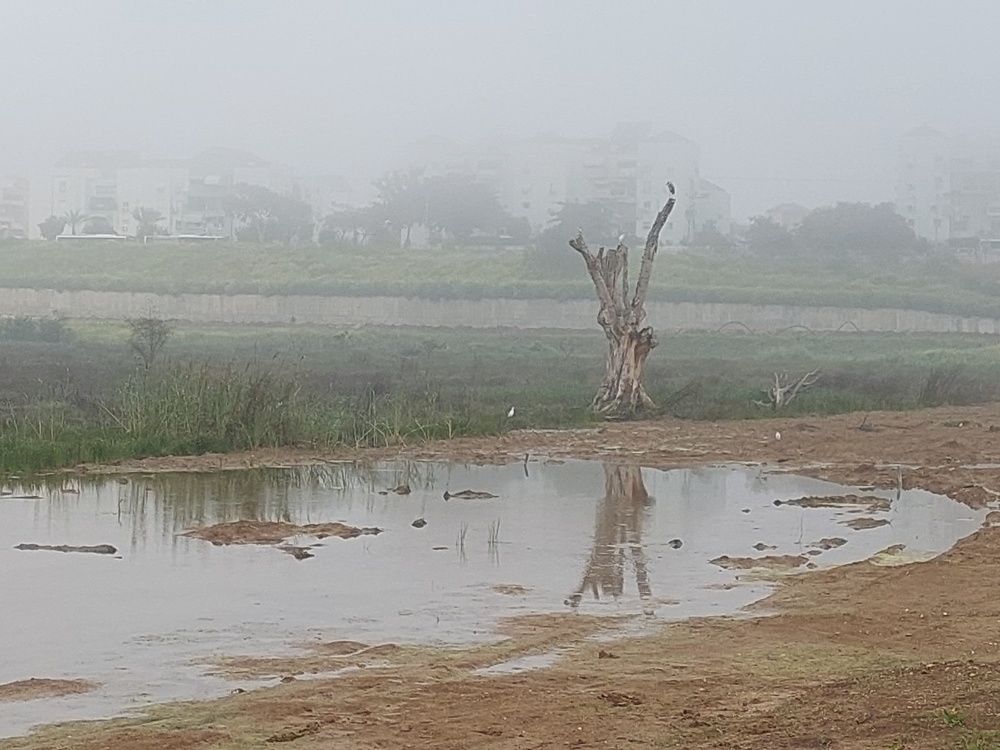 Фотография автора Dmitry