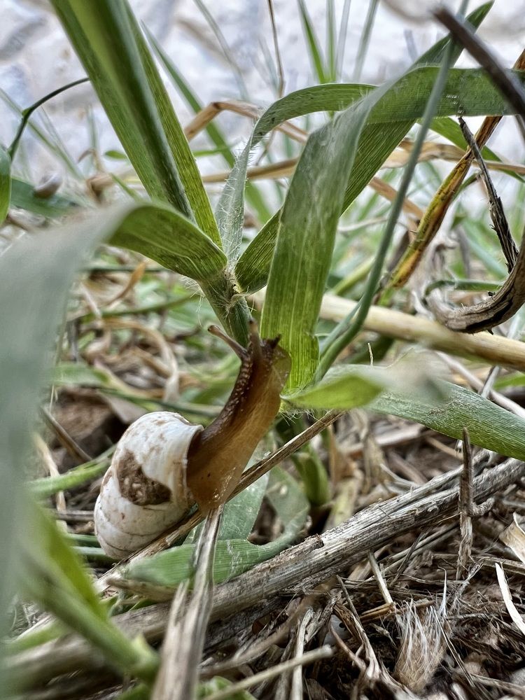 Фотография автора Мария