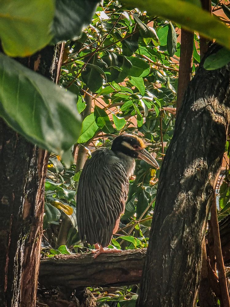 Фотография автора Walfrido Alexandre