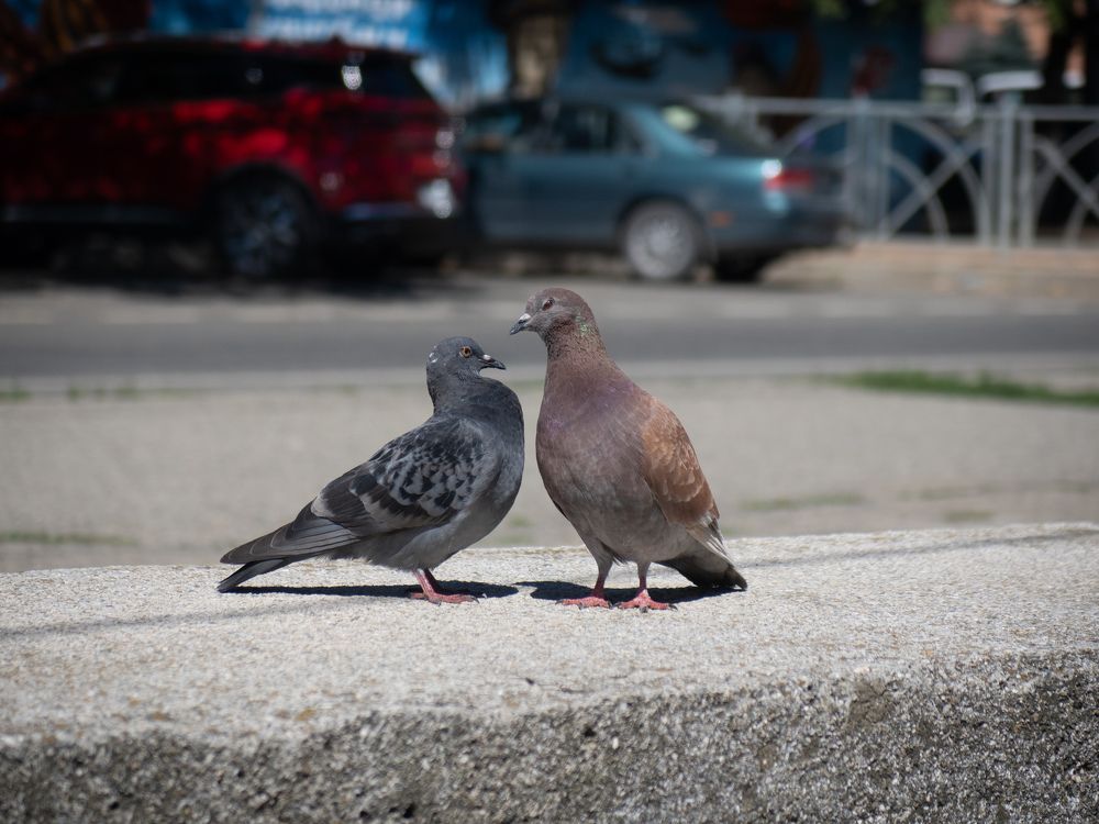 Photograph by Виталий Маслов