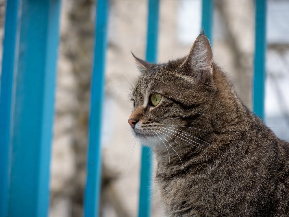 Photograph by Виталий Маслов