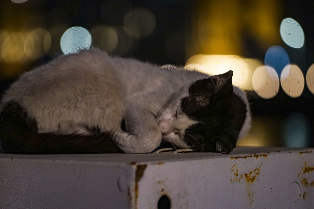 Фотография автора Kenny Ocampo Casares