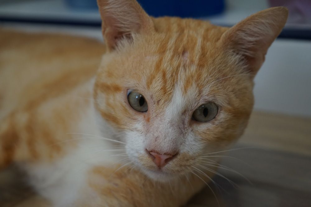 Фотография автора Kenny Ocampo Casares