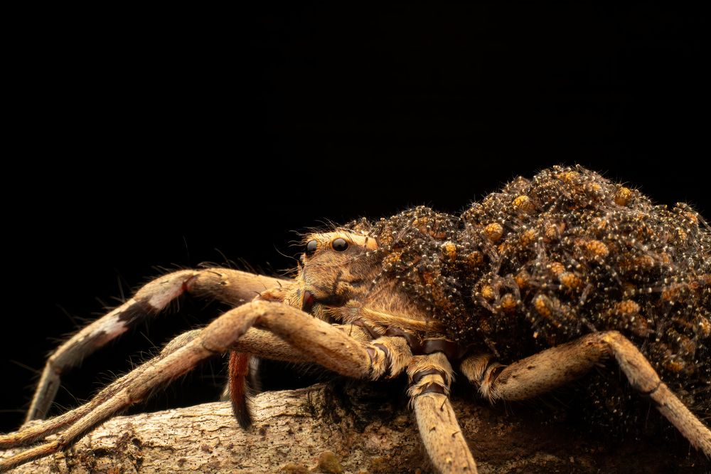 Photograph by Vivek Sundaram