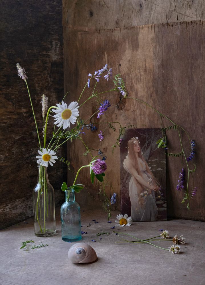 Фотография автора Tатьяна Дин