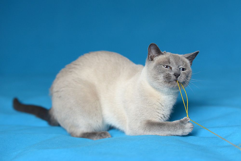 Photograph by Наталия Моргунова