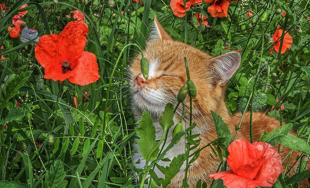 Photograph by Regina Malashuk