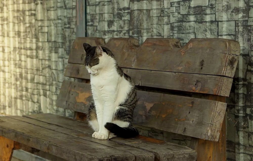 Photograph by Татьяна Башкирова