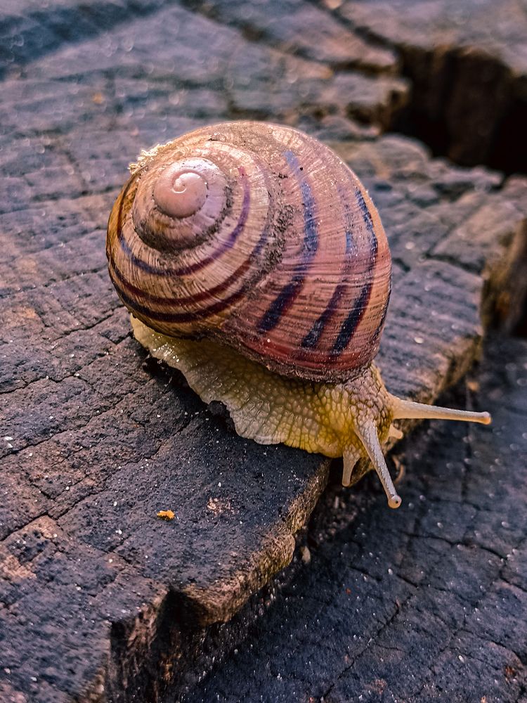 Photograph by Лариса Пасечник