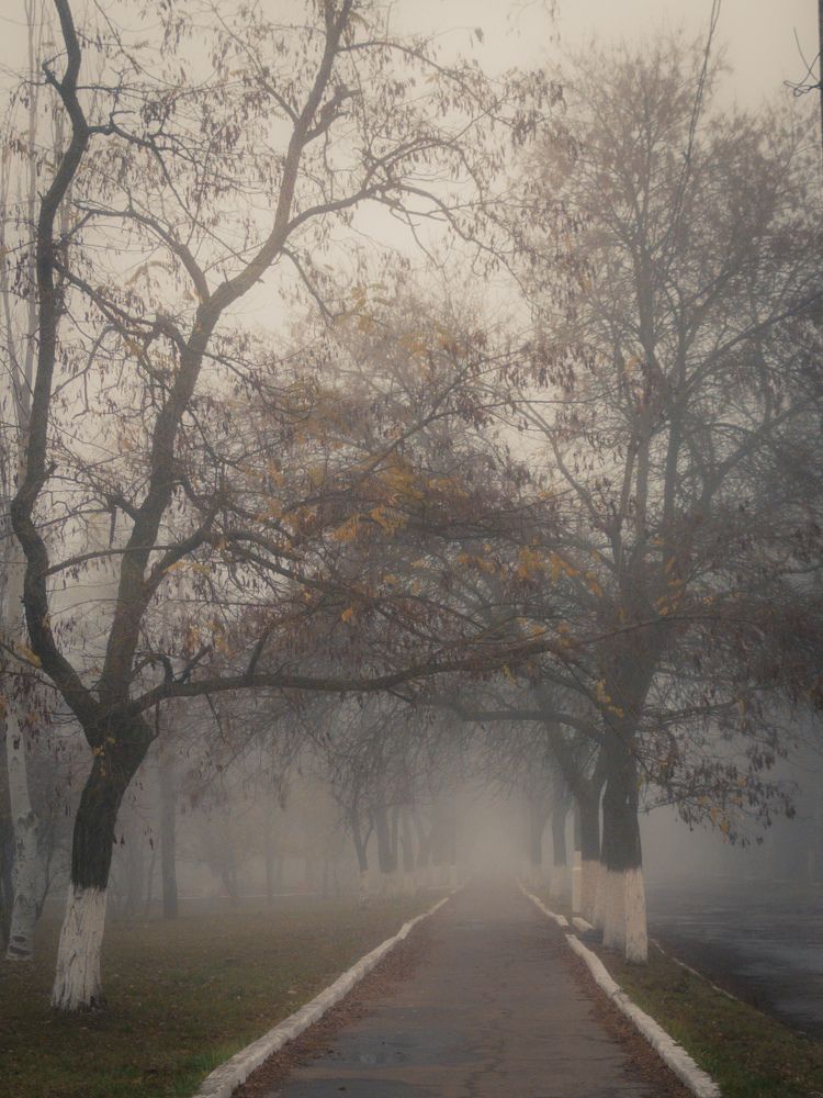 Photograph by Лариса Пасечник