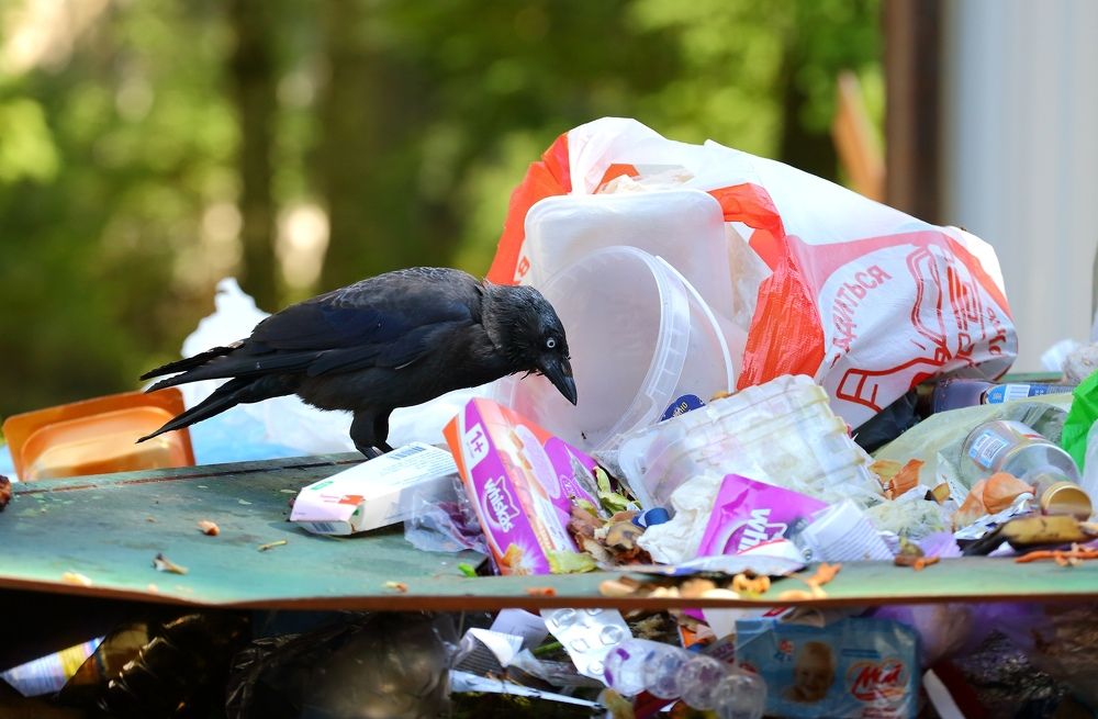 Photograph by Станислав Вершинин