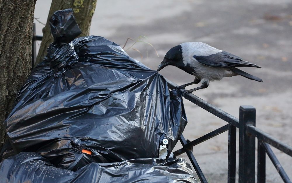 Photograph by Станислав Вершинин