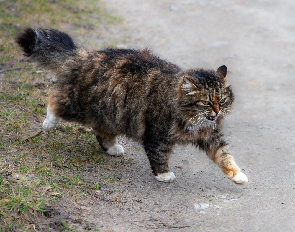 Photograph by Константин Чижов