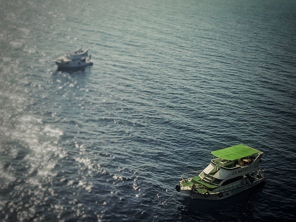 Photograph by Ahmed salah