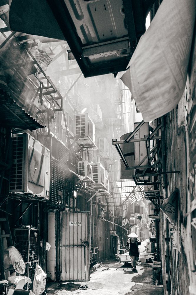 Фотография автора Kusu_foto