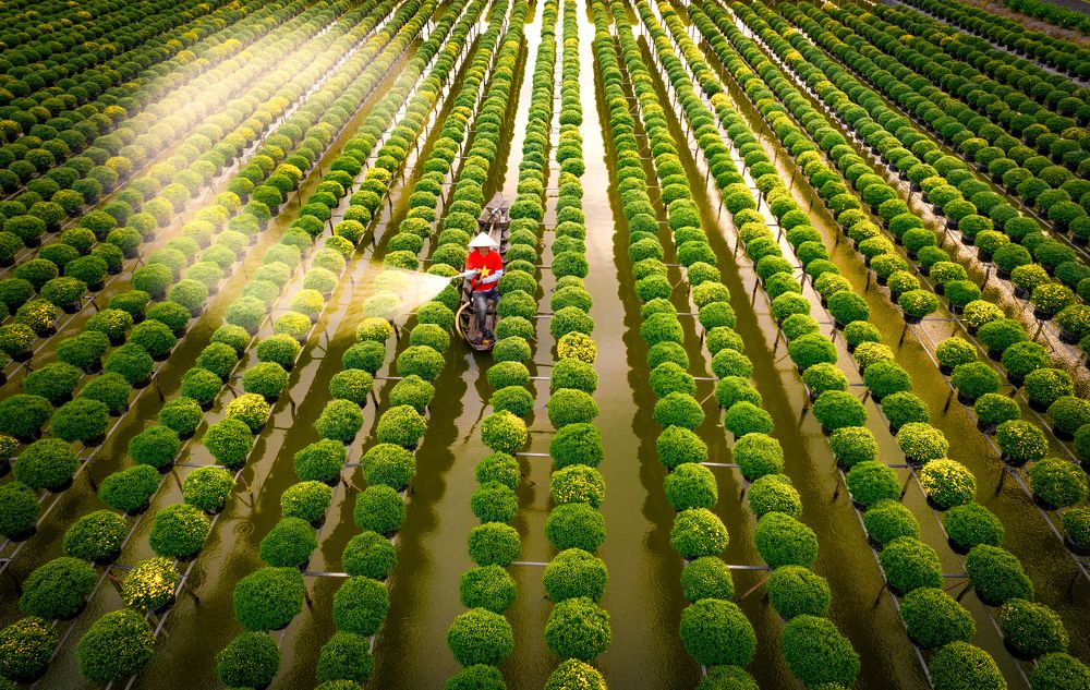 Фотография автора Pham Quynh Nga