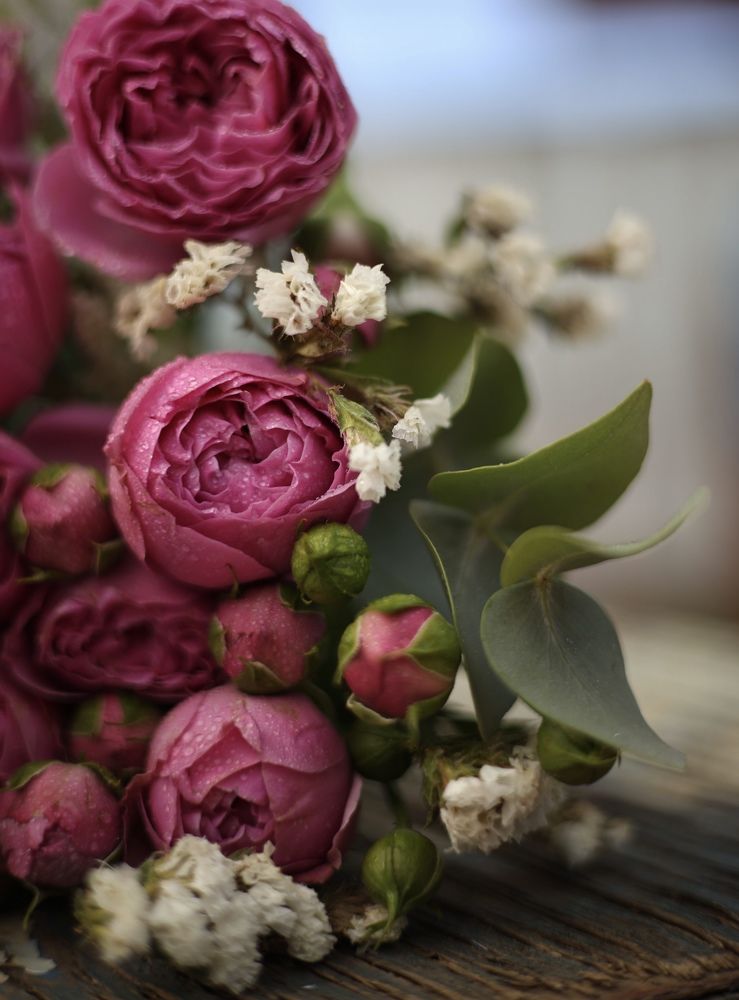 Photograph by Наталья Назаренко