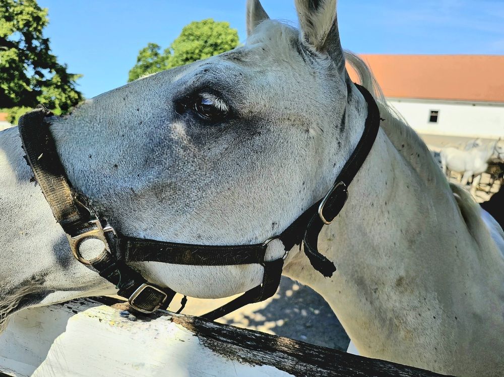 Photograph by Angelika Sokolova