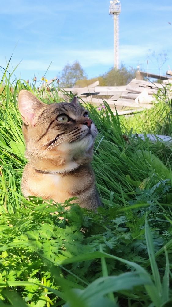 Photograph by Марина Артемьева