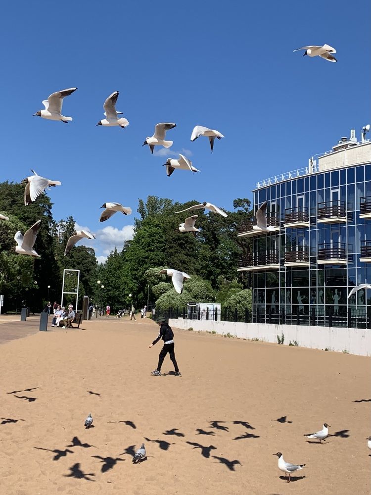 Photograph by Титаренко Людмила