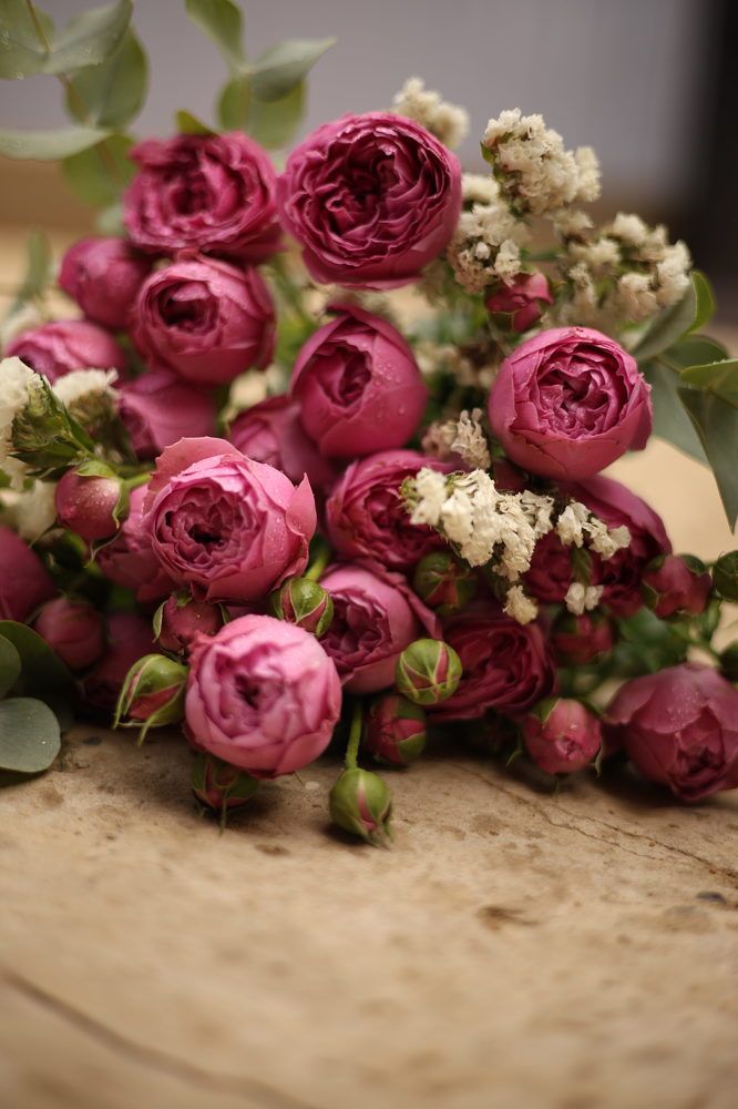 Photograph by Наталья Назаренко