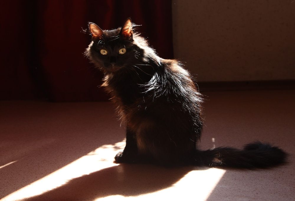 Photograph by Татьяна Лихачева