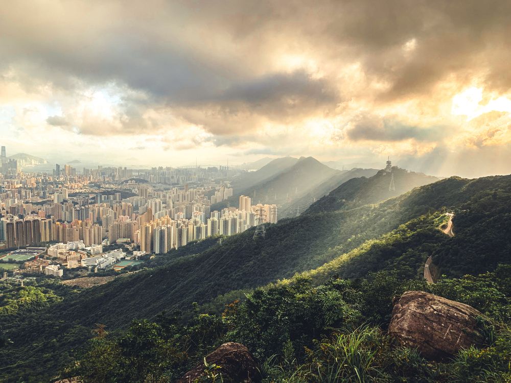 Фотография автора Kusu_foto