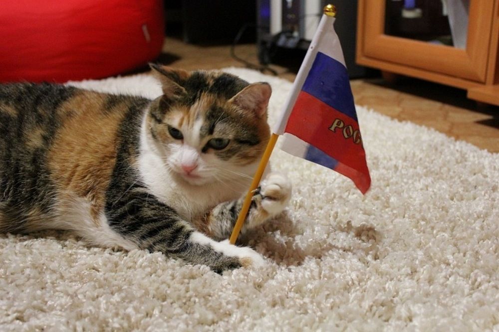 Photograph by Татьяна Лихачева