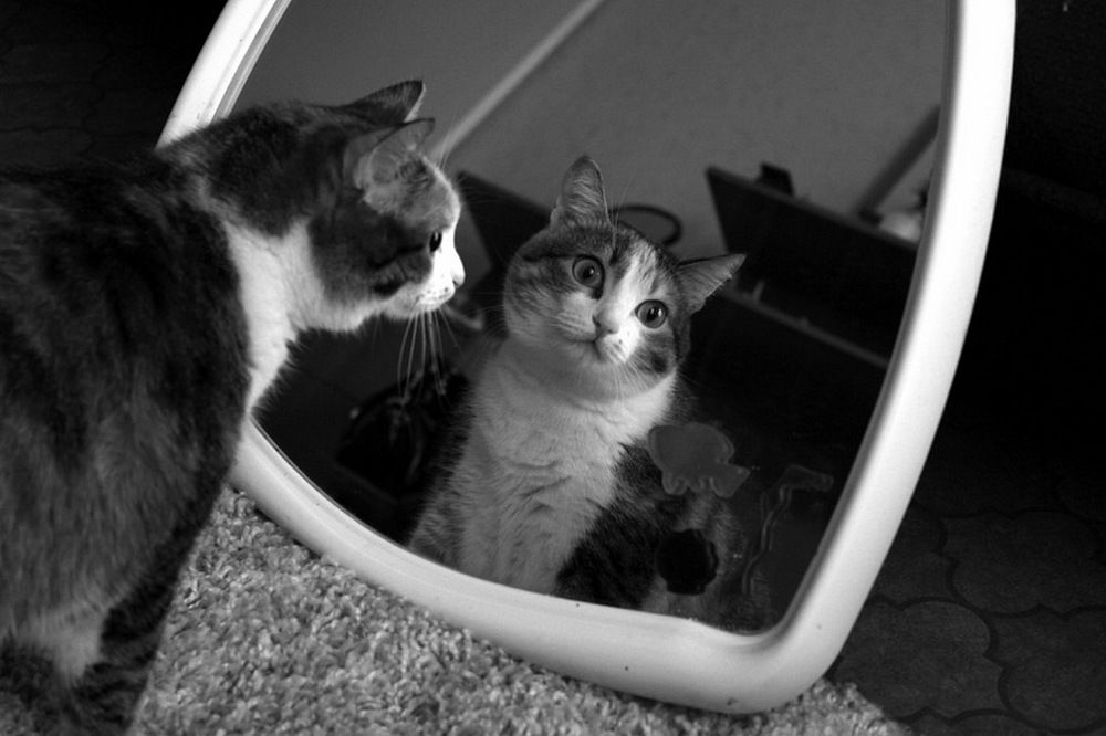 Photograph by Татьяна Лихачева